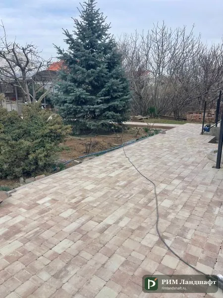 Укладка тротуарной плитки — широкая дорожка у голубой ели, наша работа